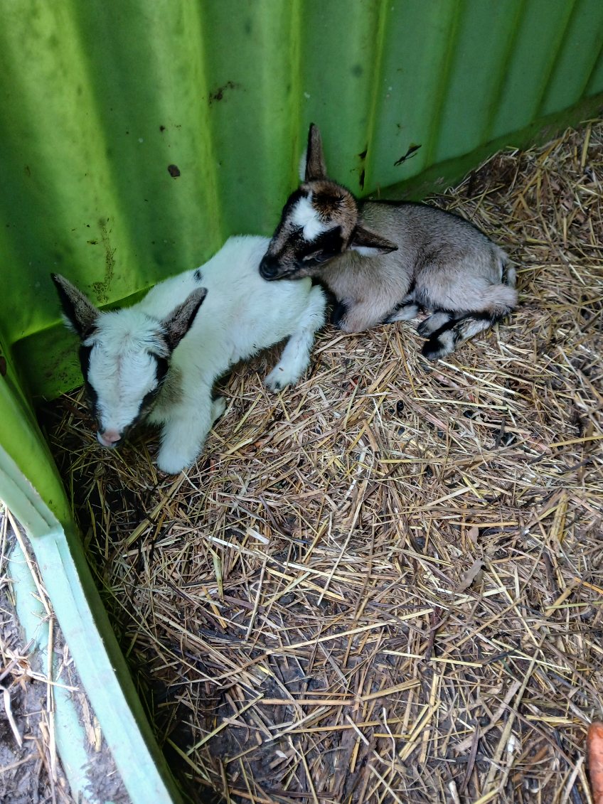 photo  - Commune de Cavan